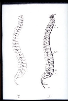 spine-history-vs-modern