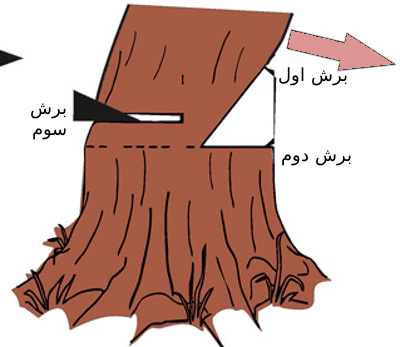tree-cutting-1