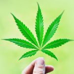 بحث درباره قانونی شدن ماری‌جوانا در کانادا